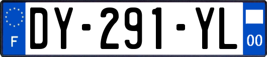 DY-291-YL