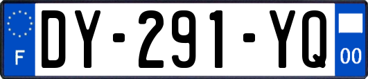 DY-291-YQ