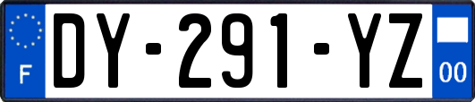 DY-291-YZ