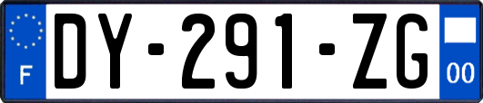 DY-291-ZG