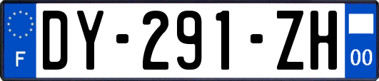 DY-291-ZH