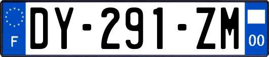 DY-291-ZM