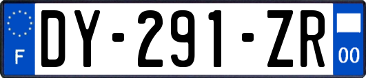 DY-291-ZR