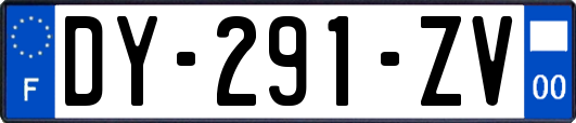 DY-291-ZV