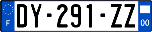 DY-291-ZZ