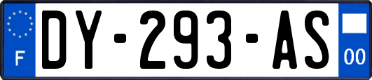 DY-293-AS