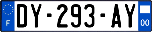 DY-293-AY