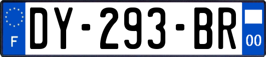 DY-293-BR
