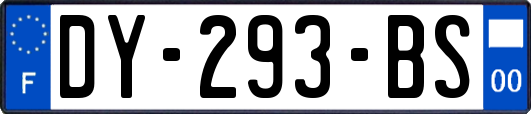 DY-293-BS