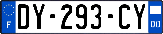 DY-293-CY