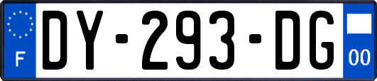 DY-293-DG