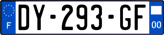 DY-293-GF