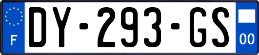 DY-293-GS