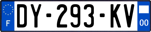 DY-293-KV
