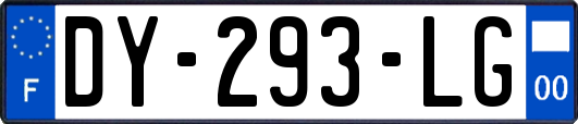 DY-293-LG
