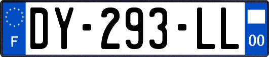 DY-293-LL