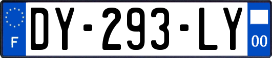 DY-293-LY