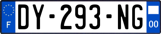 DY-293-NG