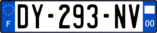 DY-293-NV