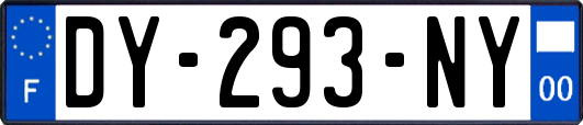 DY-293-NY