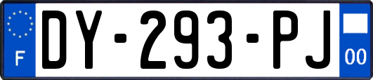 DY-293-PJ