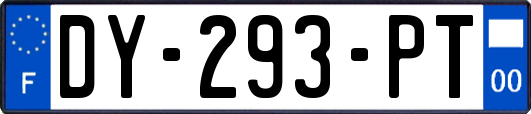 DY-293-PT
