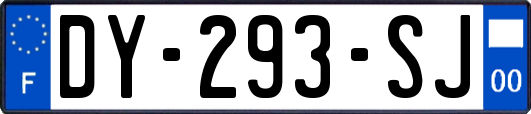 DY-293-SJ