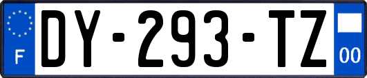 DY-293-TZ