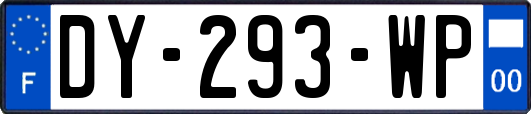 DY-293-WP