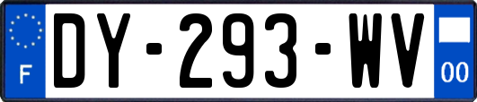 DY-293-WV