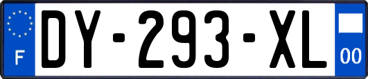 DY-293-XL