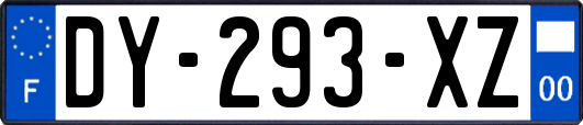 DY-293-XZ