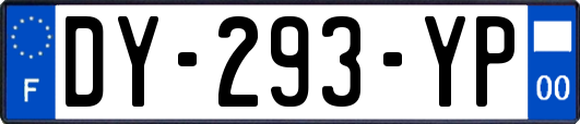 DY-293-YP