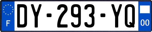 DY-293-YQ