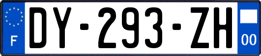 DY-293-ZH