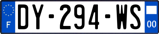 DY-294-WS