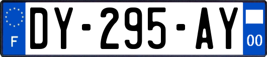 DY-295-AY