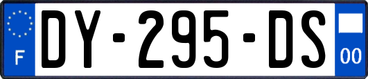 DY-295-DS