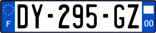 DY-295-GZ