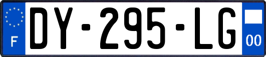DY-295-LG
