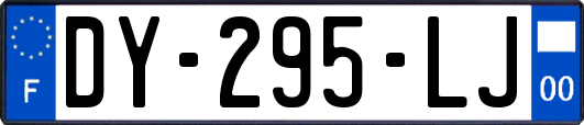 DY-295-LJ
