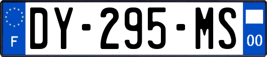 DY-295-MS