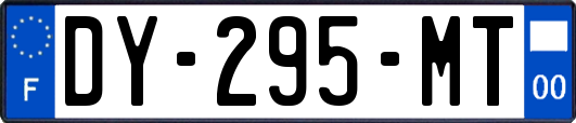 DY-295-MT