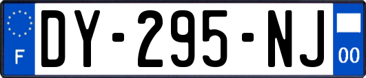DY-295-NJ
