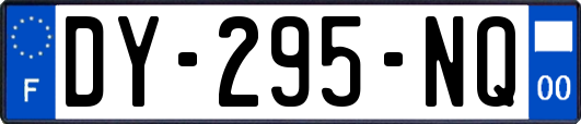 DY-295-NQ