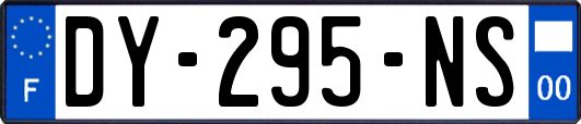 DY-295-NS
