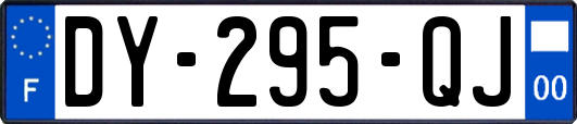 DY-295-QJ