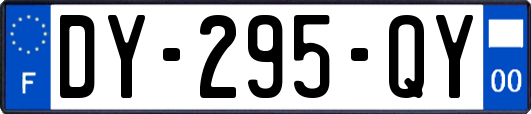 DY-295-QY