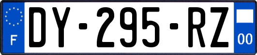 DY-295-RZ