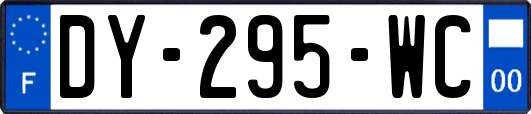 DY-295-WC